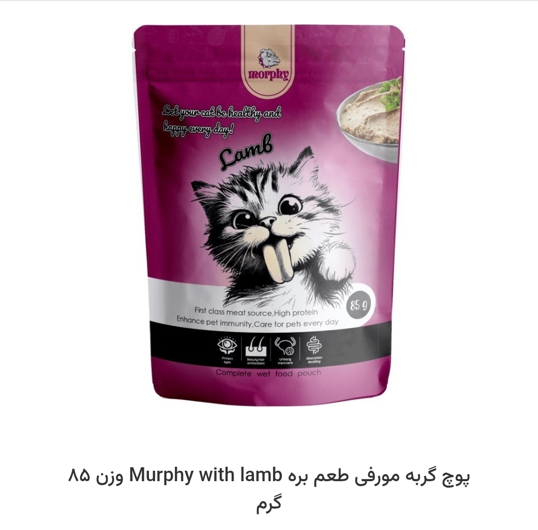 پوچ گربه
