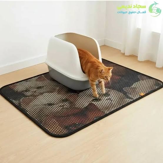 مت ظرف خاک گربه تادو 50*70